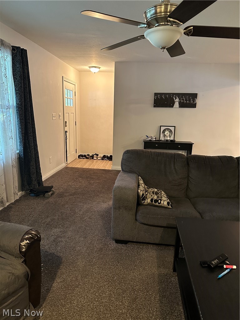4381 Magnolia Avenue, Perry, OH - Photo 4