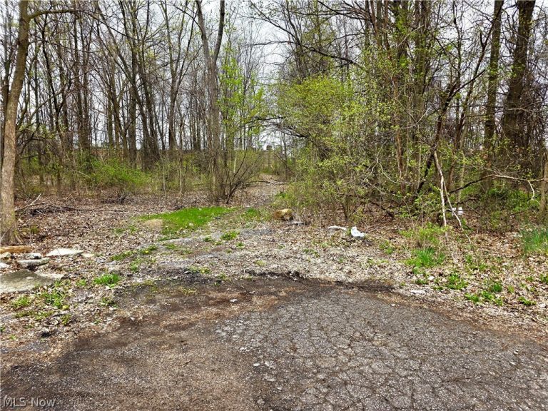 VL Ridgewood Street, Lorain, OH - Photo 2