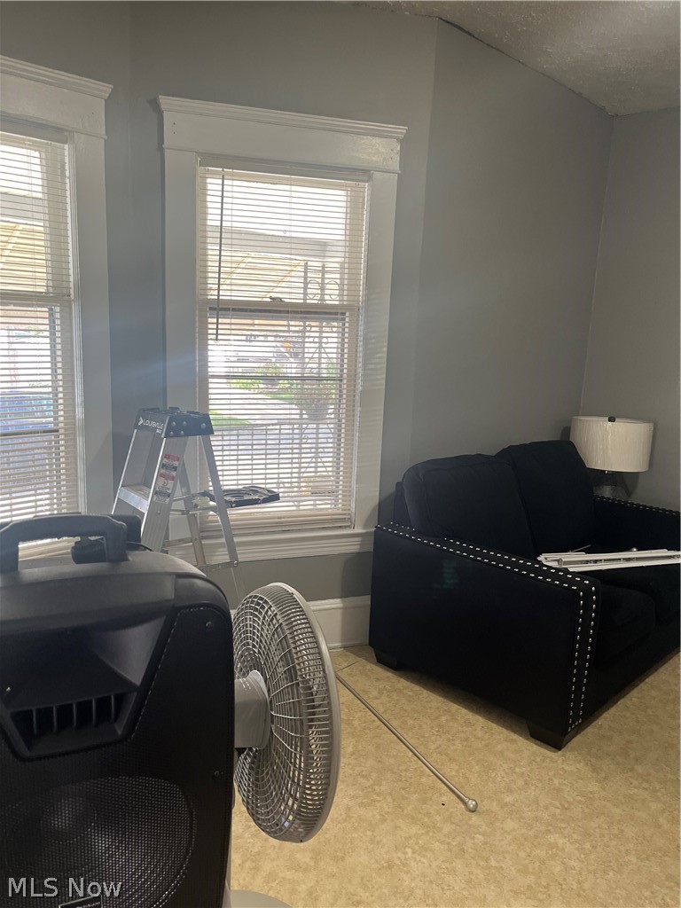 10405 Olivet Avenue, Cleveland, OH - Photo 8