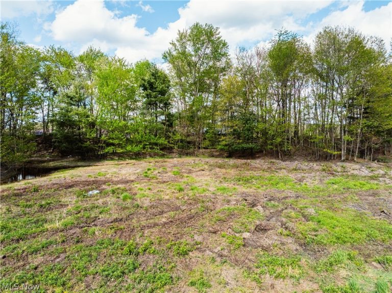 8089 Nebraska Road, Dundee, OH - Photo 2