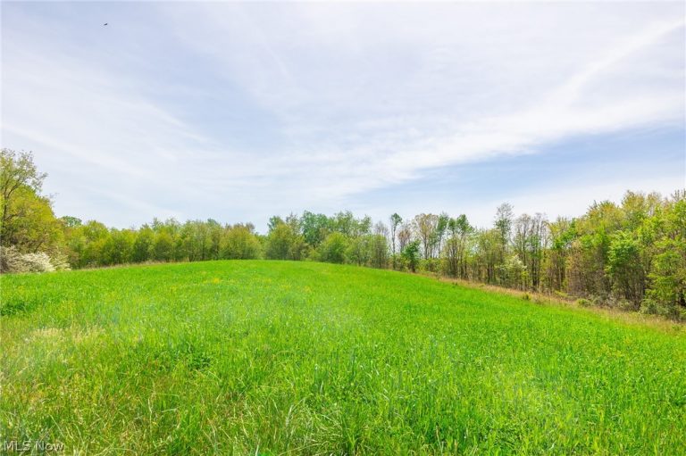 6268 Kings Ridge Road, Newcomerstown, OH - Photo 8