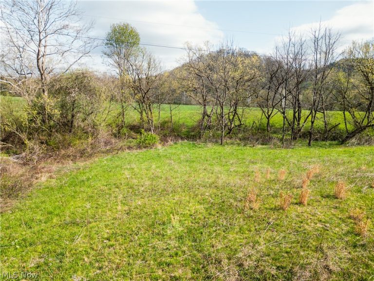 47691 Captina Highway Road, Alledonia, OH - Photo 6