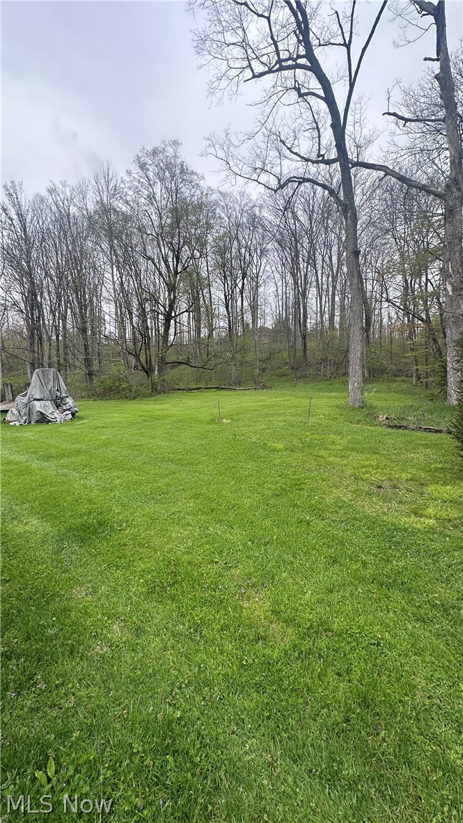 160 Miles Road, Moreland Hills, OH - Photo 3
