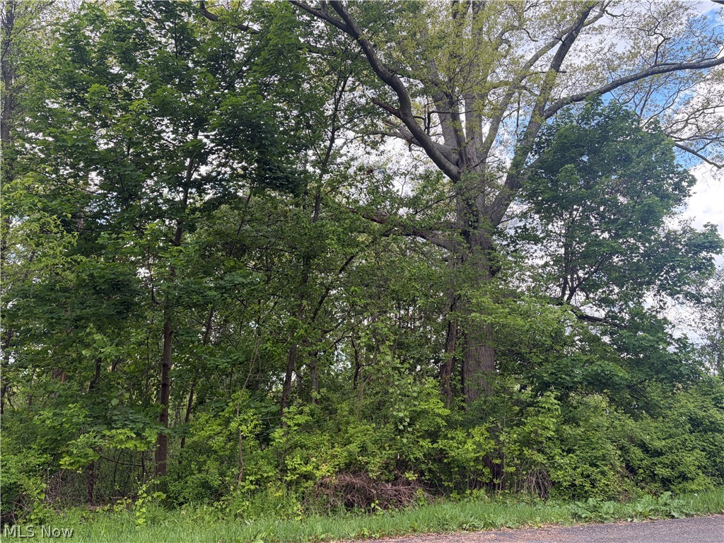 V/L Trenton Road, Akron, OH