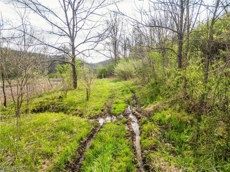 Captina Highway Road, Alledonia, OH - Photo 8