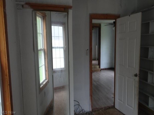517 Dewitt Street, Lorain, OH - Photo 6