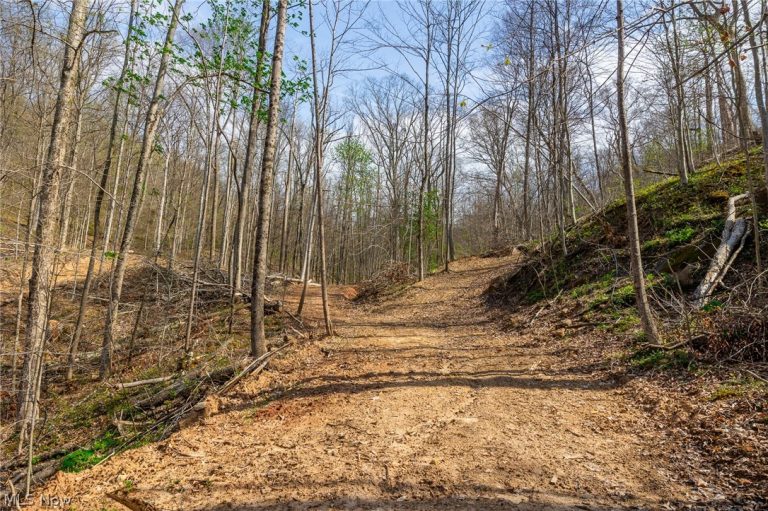 Twp Rd 63 Deans Fork Rd #5, Whipple, OH - Photo 3
