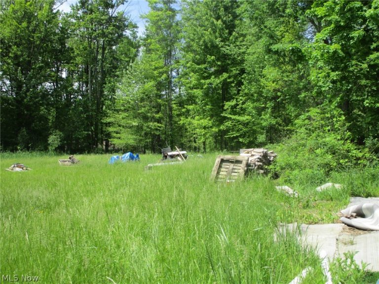 VL Doyle Road, Jefferson, OH - Photo 8