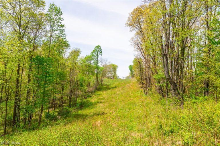 6268 Kings Ridge Road, Newcomerstown, OH - Photo 3