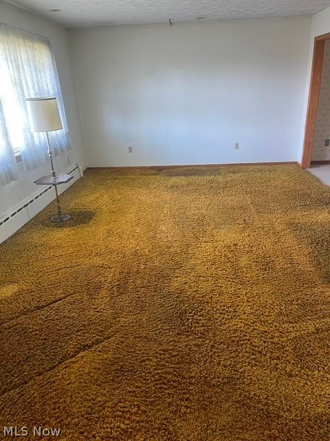 704 Elizabeth Street, Lowellville, OH - Photo 4
