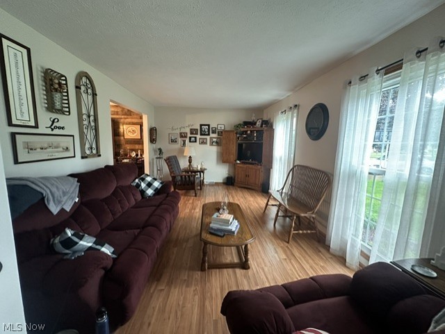 149 Mapleview Court, New Middletown, OH - Photo 6