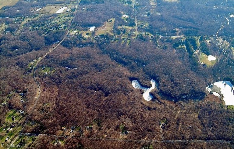 Auburn Road, Newbury, OH - Photo 4
