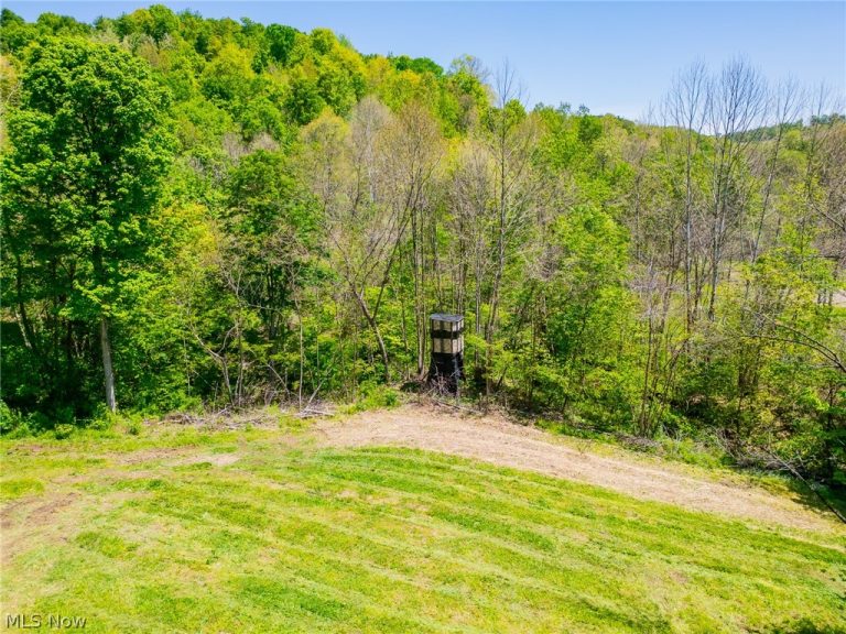 37500 Goose Run Road, Dexter City, OH - Photo 6