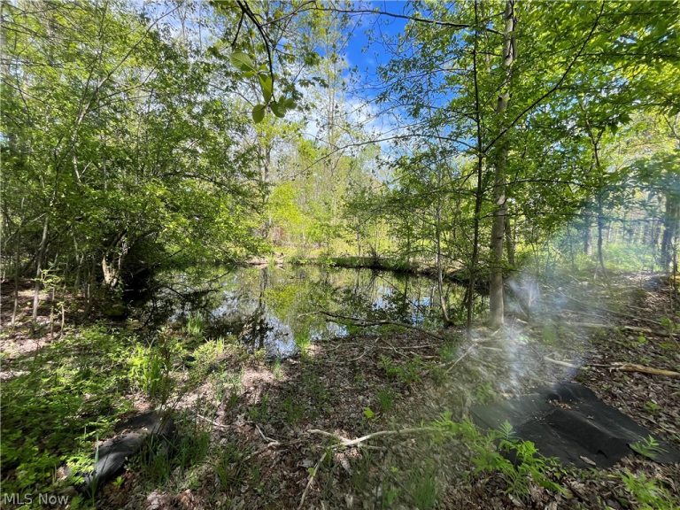 15829 Moseley Road, Madison, OH - Photo 6