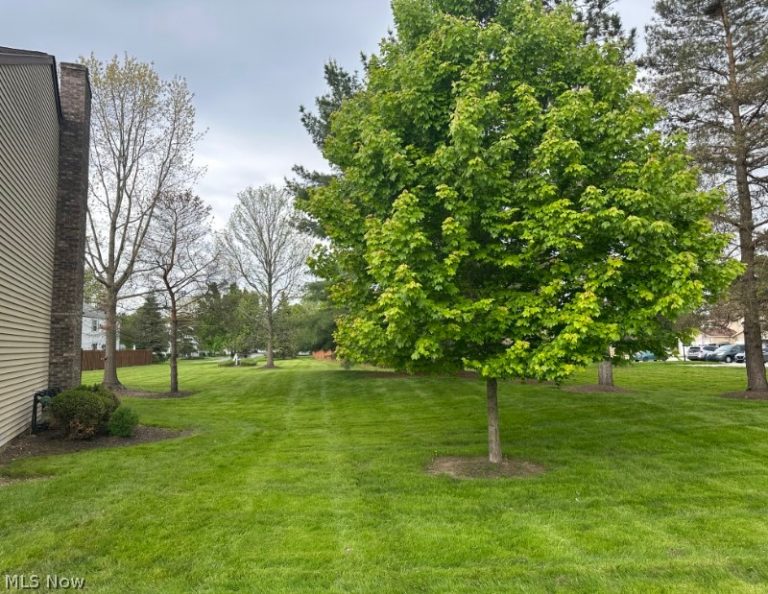 9632 E. Idlewood Drive, Twinsburg, OH - Photo 2