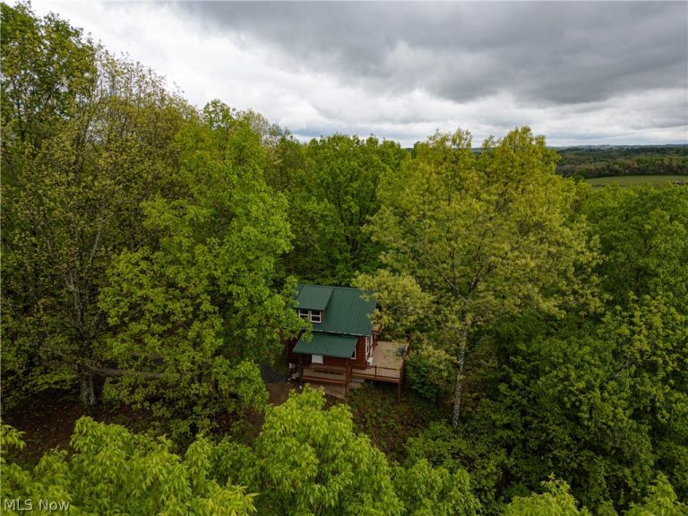 72420 Parker Road, Kimbolton, OH - Photo 3