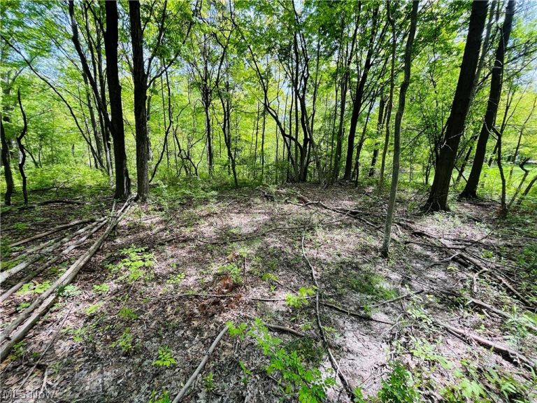 Bates Road, Madison, OH - Photo 5