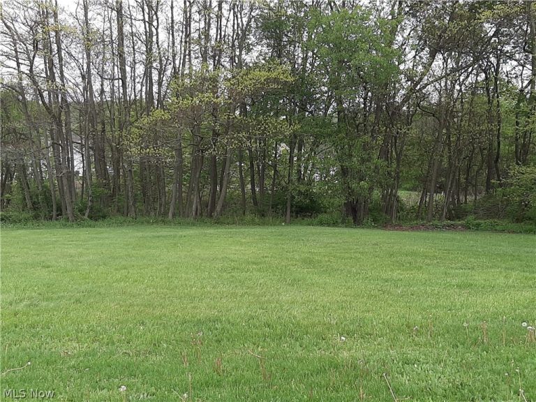 6 Hamilton Avenue, Canton, OH, 44704