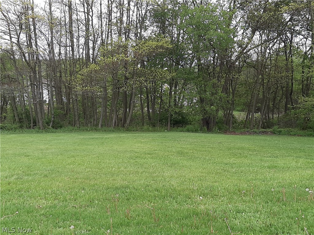6 Hamilton Avenue, Canton, OH