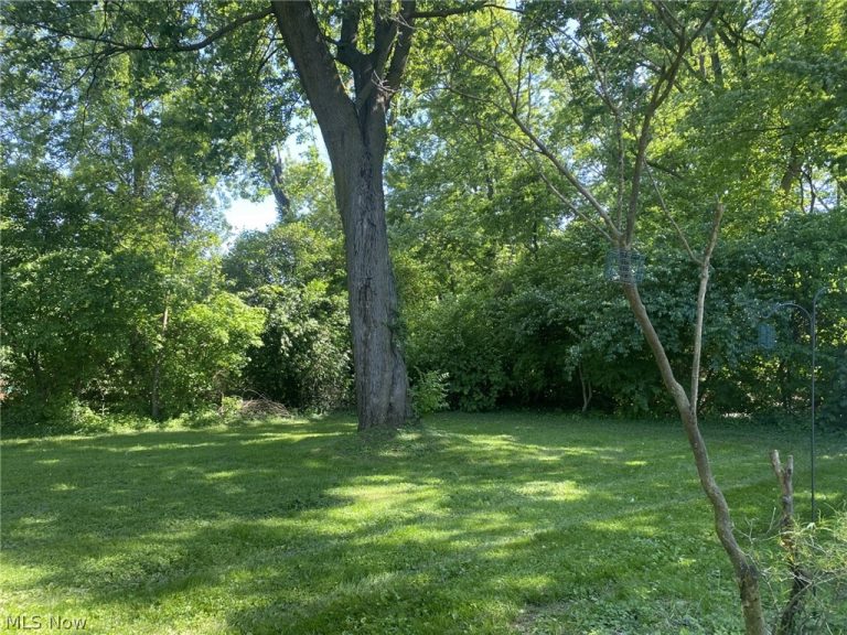 124 Tiffin Avenue #A/B, Huron, OH - Photo 4