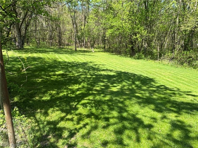 1108-1/2 Milan Street, Canal Fulton, OH - Photo 2