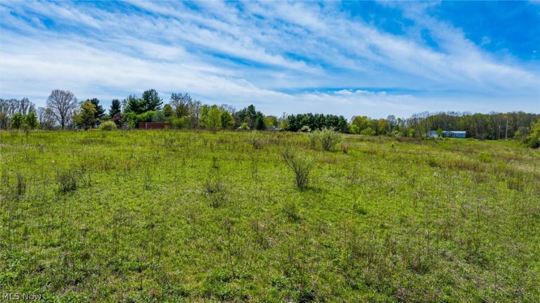 Mcclintocksburg Road #B, Diamond, OH - Photo 2