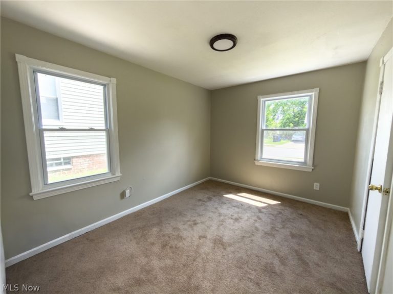 11825 Avon Avenue, Cleveland, OH - Photo 4