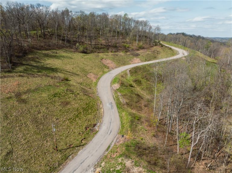 Captina Highway Road, Alledonia, OH - Photo 5