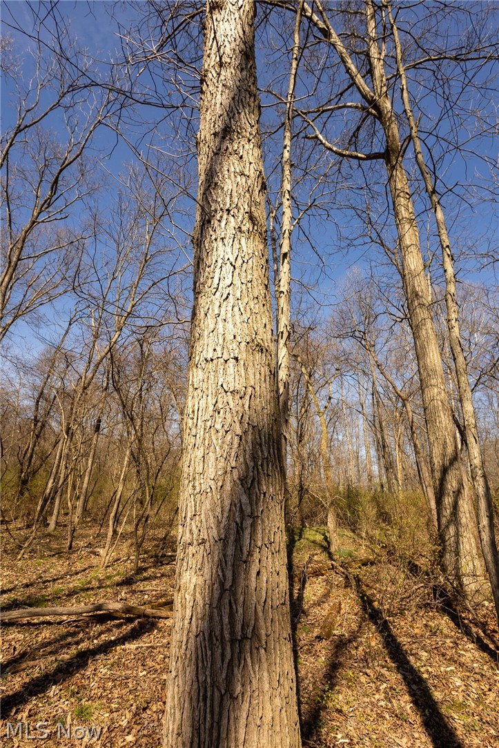 Lambert Road, Roseville, OH - Photo 6