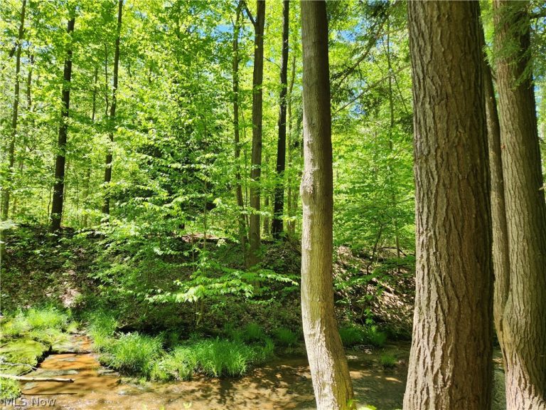 7250 Brakeman Road, Painesville Twp, OH - Photo 3