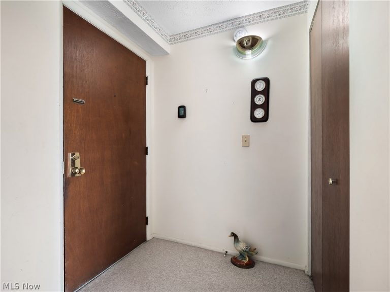50 Rocky River Drive #705, Berea, OH - Photo 4