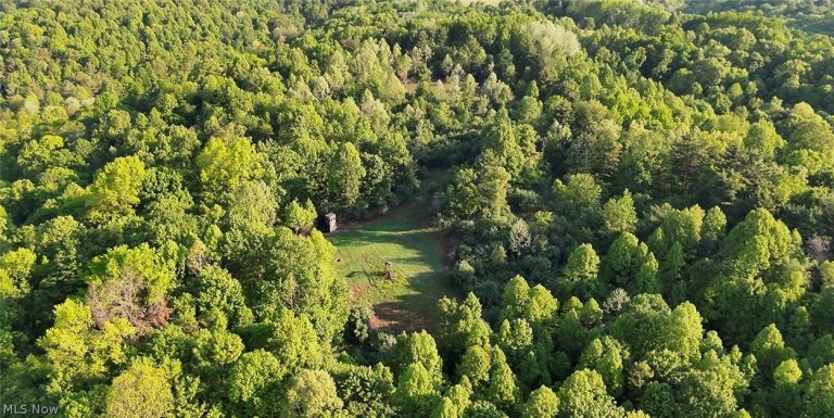 Crum Ridge Rd, Caldwell, OH - Photo 2