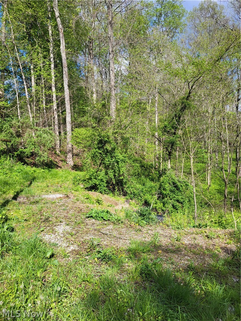 Township Road 62, Dresden, OH - Photo 3