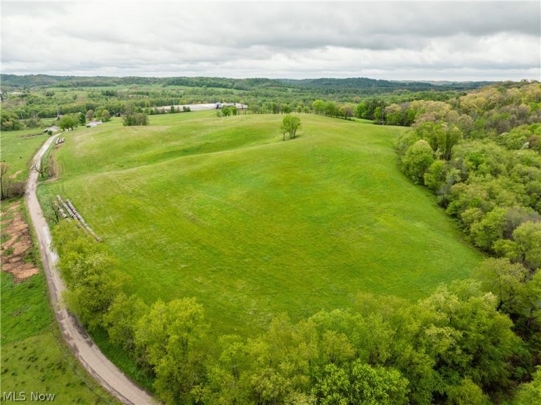 Timmerman Road, Bowerston, OH - Photo 3