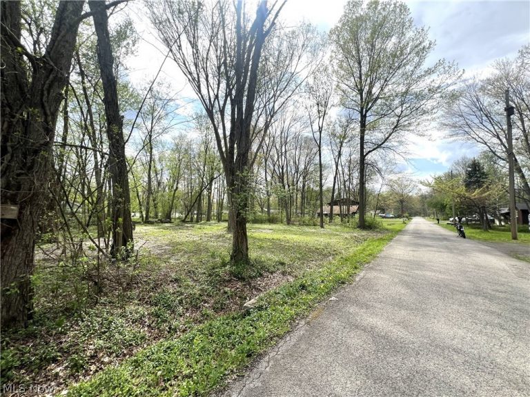 Afton Avenue, Lake Milton, OH - Photo 2
