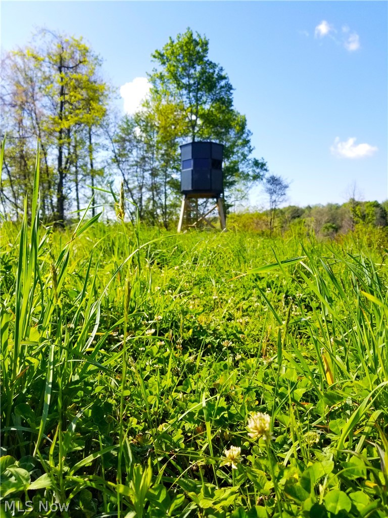 Patton Road, Jewett, OH - Photo 6
