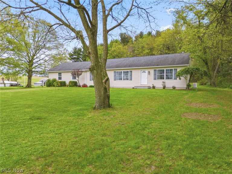 9084 Plymouth Street, Hanoverton, OH - Photo 4