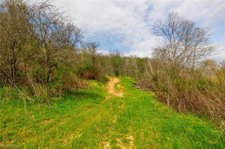 Twp Rd 63 Deans Fork #3, Whipple, OH - Photo 5
