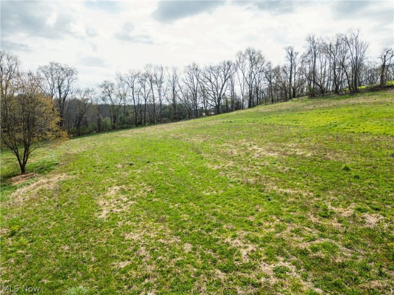 8480 Possum Hollow Road, Dundee, OH - Photo 3