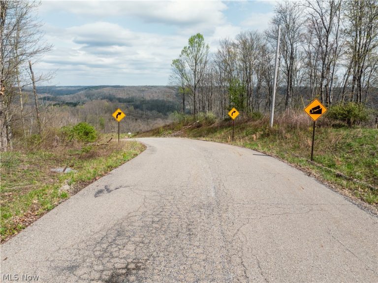 Captina Highway Road, Alledonia, OH - Photo 8