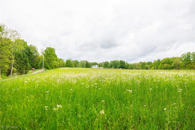 70870 Norwalk Road, Kimbolton, OH - Photo 4
