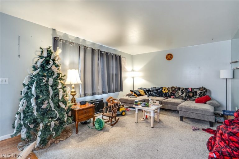15390 Cenfield Street, Alliance, OH - Photo 4