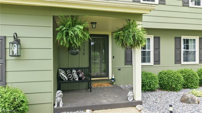 10230 New Buffalo Road, Canfield, OH - Photo 4