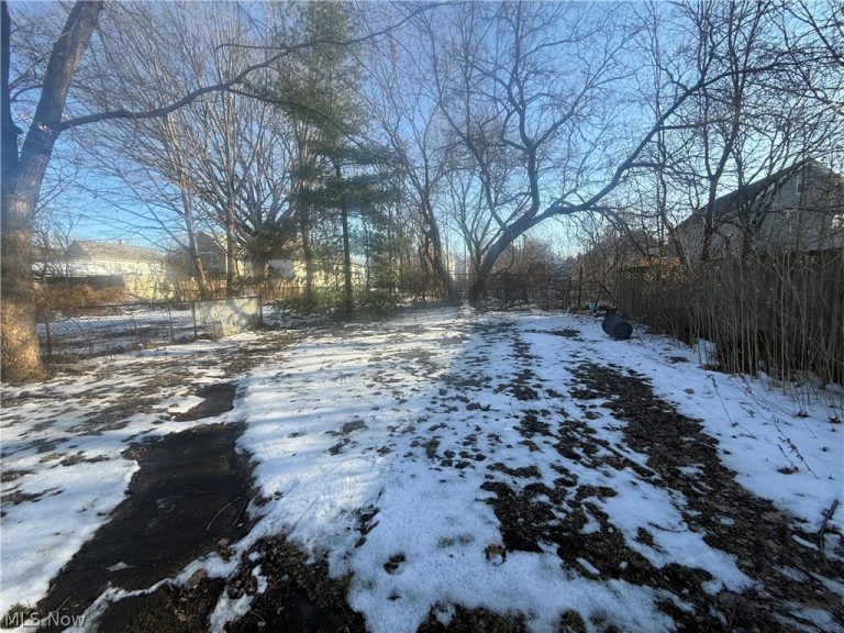 3579 72nd Street, Cleveland, OH - Photo 4