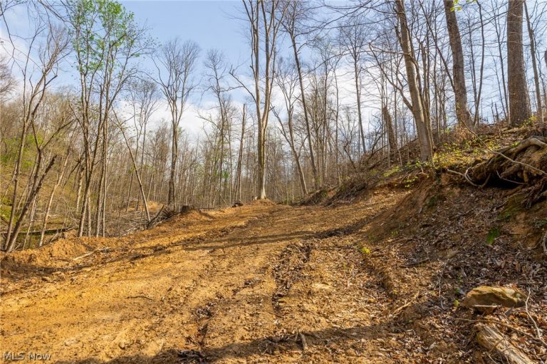 Twp Rd 63 Deans Fork Rd #5, Whipple, OH, 45788