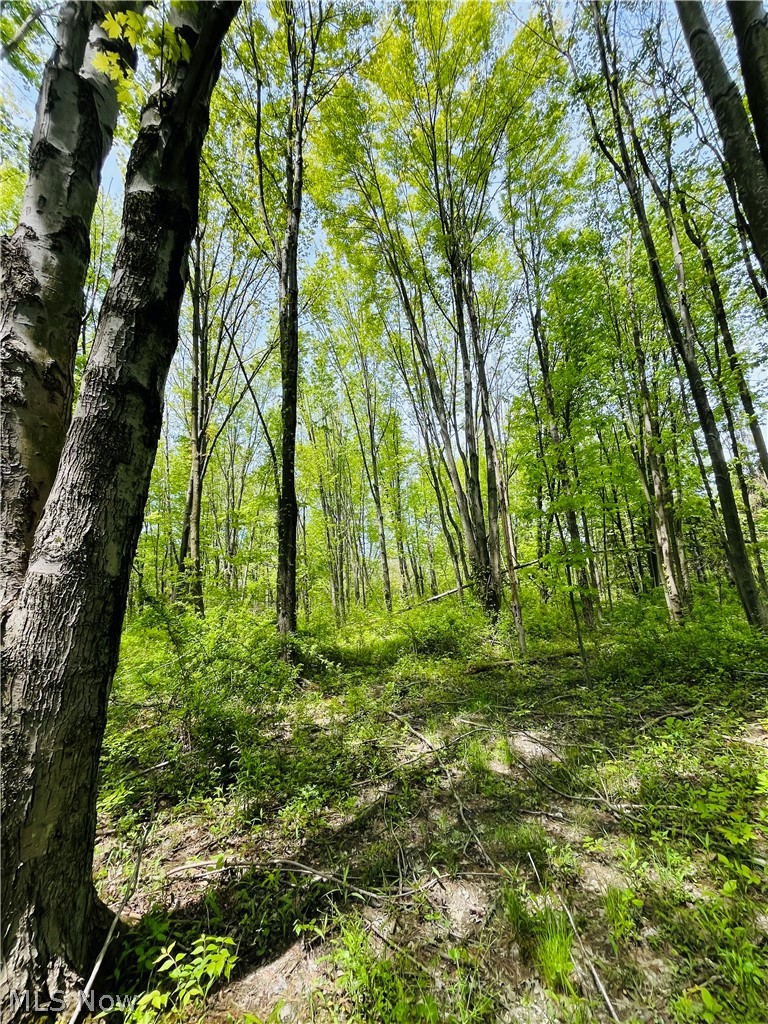 Bates Road, Madison, OH - Photo 8