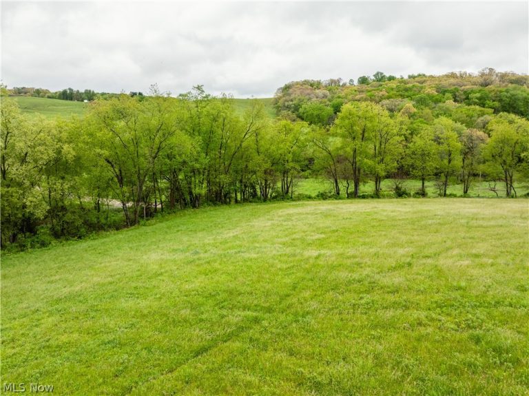 Timmerman Road, Bowerston, OH - Photo 5