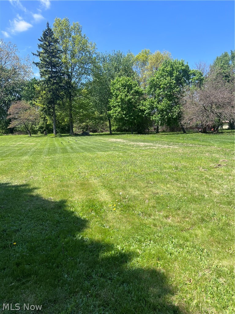 345 Park Road, Painesville, OH - Photo 3
