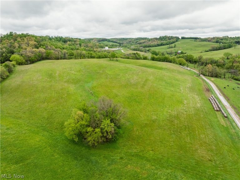 Timmerman Road, Bowerston, OH - Photo 4