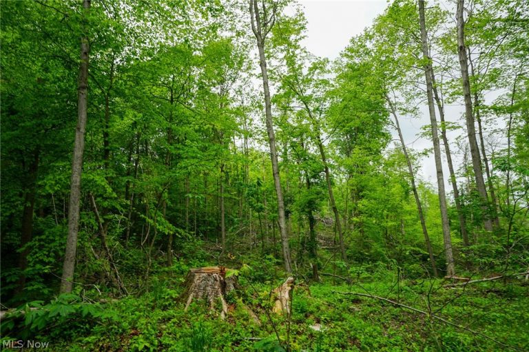Ervin Ln, Stockport, OH - Photo 6